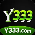 Y333 Game